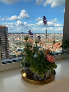 Den smukkeste udsigt over København - 6