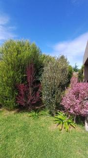 Pura paz y relax en entorno super tranquilo - 5