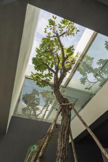 Pinepilla Poolvilla Huahin - 8