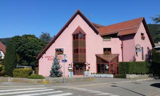 Hotel Restaurant Aux Sapins - Thann - 3