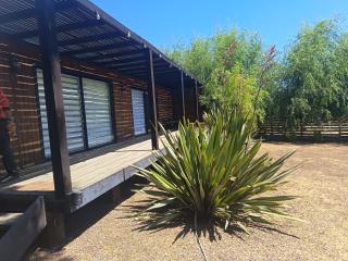 Cabañas con tinajas Litueche - 1