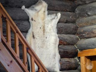 Klasun Maja A by Holiday in Lapland - 3