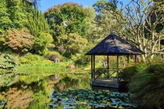 Spacious Home - 2 Lounges, Gym - Deck near Manukau - 4