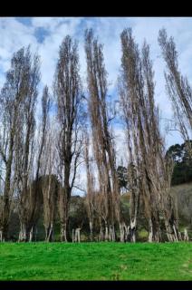 Alojamiento con acceso a PLAYA y Naturaleza - 2