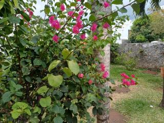 Très grand cocoon au centre-ville de Saint-Denis à l'Ile de La Reunion - Accueille jusqu'à 5 personnes - Avec un balcon et un patio - Au 3ème et dernier étage avec ascenseur - Sans vis à vis - 3