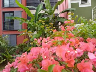 Très grand cocoon au centre-ville de Saint-Denis à l'Ile de La Reunion - Accueille jusqu'à 5 personnes - Avec un balcon et un patio - Au 3ème et dernier étage avec ascenseur - Sans vis à vis - 7