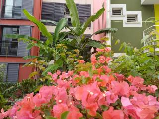 Très grand cocoon au centre-ville de Saint-Denis à l'Ile de La Reunion - Accueille jusqu'à 5 personnes - Avec un balcon et un patio - Au 3ème et dernier étage avec ascenseur - Sans vis à vis - 8