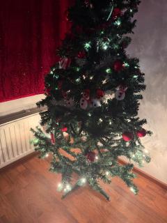 Talvinen majoitus Lapissa, modernia mukavuutta Kemissä 247 check-in - 9