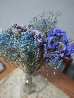 Casa inteira com pátio - 8