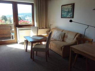 Ferienhaus Strasser - Ramsau am Dachstein - 5