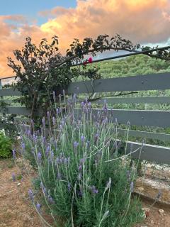 Physis Villas Chania - 8