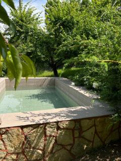 Яблунева садиба - 2