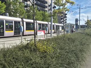 New unique room Close to tramline - 1