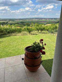 Deda Mrazova kuća - 9