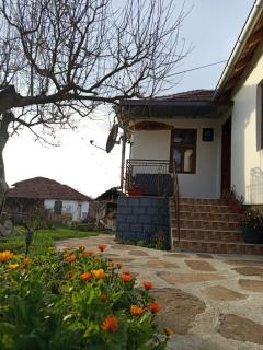 Deda Bocin konak - 0