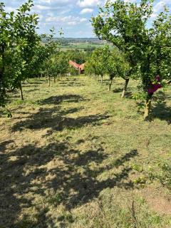 Deda Mrazova kuća - 3