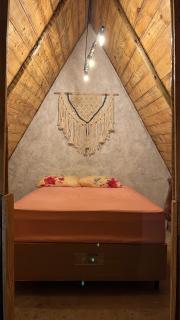 Camping Proibido Não Viver - 0