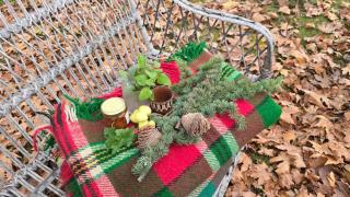 Galeria In The Garden - 6