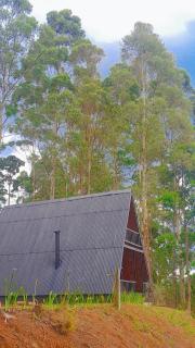 Chalé da Mantiqueira SFX , Pet friendly - 8