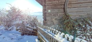 Almhütte Brandgut - 6