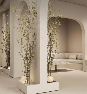 Hotel Harrisson Guadalajara Centro - 2