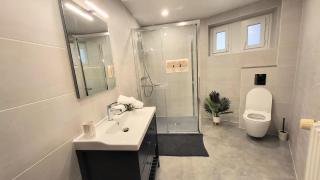 le bleu du léman - 5