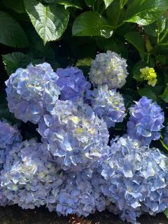 Hospedagem Solari di Gramado - Gramado - 9