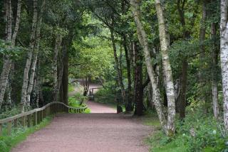 Olive Tree House - Edwinstowe - 5