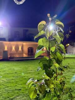 Almajidy Villa - Kairo - 3