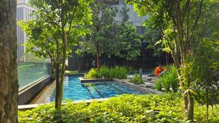 Urban Starscape 50450, KL - 2