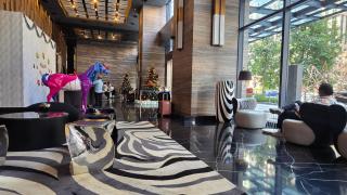 Urban Starscape 50450, KL - 1