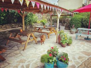 The Walkhampton Inn - 1