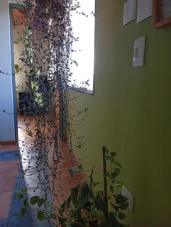 Casa Boreal dptos estilo casa - 3