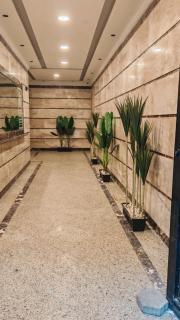 شقه غرفتين بالدقي - 2