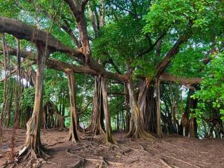 Hospedaje Mar Adentro - 7