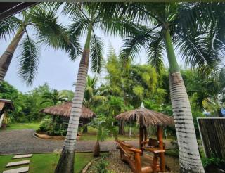 The Three Shooting Stars - 6