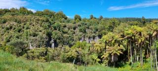 Hiwi Farm Homestay - 3