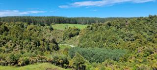 Hiwi Farm Homestay - 2