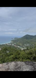 The Funky Turtle - 3