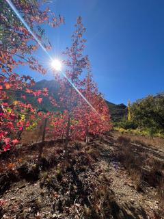 Refugio de montaña OM - 7