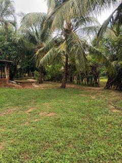 Whispering Wind Yala - 2