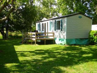 Confortable Mobil-home avec Terrasse à Moncrabeau - API-1-52-1196 - 8