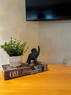 Beira mar Porto de Pedras Tatuamunha Tuchá - 3