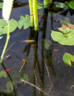 Mila Apartment by Maheswara - 8