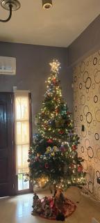 Infinit Home Duplex entero - 1