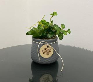 Bed space for Budget Traveler - No Parking - 0