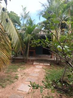 Whispering Wind Yala - 4