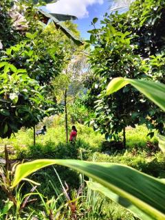 Buntera Homestay Sidemen - 8