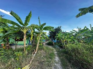 บ้านสวนส่วนตัว พักผ่อนกลางทุ่งนา ฟังเสียงธรรมชาติ - 5