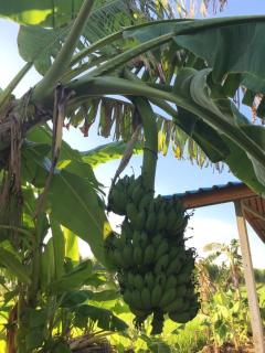 บ้านสวนส่วนตัว พักผ่อนกลางทุ่งนา ฟังเสียงธรรมชาติ - 2